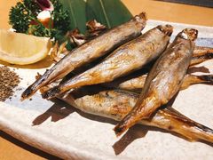 -文三酒肆自助放题(新街口友谊广场店)