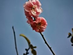 -艾溪湖湿地公园