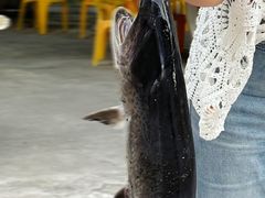 -鸿渡渔庄·特色鸭咀鱼