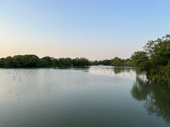 -苏州太湖国家湿地公园