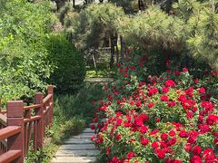 -老虎石海上公园