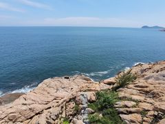 -广东惠东海龟国家级自然保护区