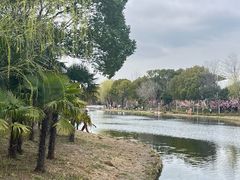 -新江湾城公园