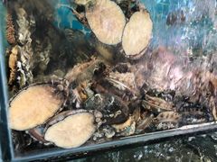 -范饭椰林川湘味海鲜·椰子鸡(三亚湾椰梦长廊店)