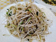 醋溜绿豆芽-京皇十二道天津菜(蒲黄榆店)