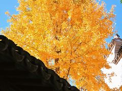 -无锡惠山寺