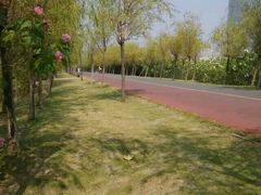 -艾溪湖湿地公园