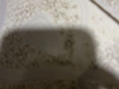 -二沙岛-广东华侨博物馆