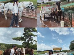 -迪茵湖田家舍生态农场