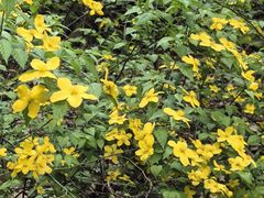 -终南山南五台景区