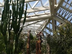 自然馆-西安世博园