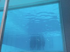 -上海潜殿潜水中心