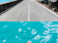 -北海金海湾红树林生态旅游区