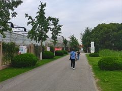 -菊园百果园