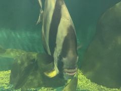 -上海长江河口科技馆