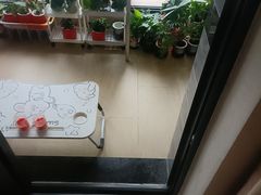 -万绿园