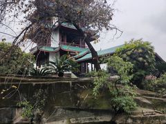 -桂湖森林公园