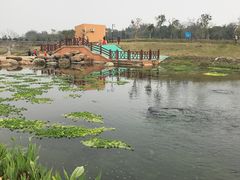 -那考河湿地公园