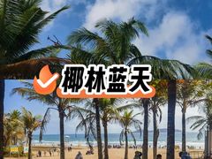 -瑰丽酒店·海吧·天际下午茶·现场DJ·天台酒吧