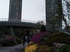 -北外滩滨江绿地