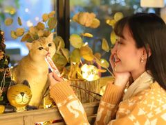 -咖法森林·咖啡  酒吧(天河店)