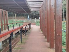 -东钱湖旅游度假区