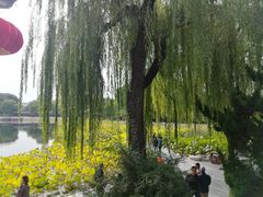 -郭守敬纪念馆