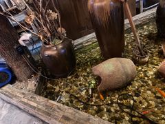 -同仁四季椰子鸡(宝安壹方城店)