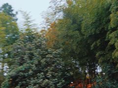 -故乡缘·香格里拉山庄(冷竹路店)