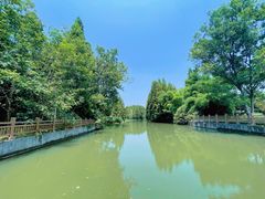 -桤木河湿地公园