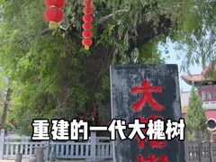 -大槐树寻根祭祖园