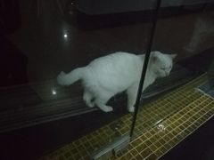 -Doors独立剧情密室(东门分店)