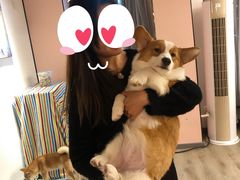 -浣熊柯尔鸭土拨鼠·电玩咖