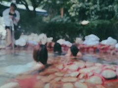 -贵御温泉