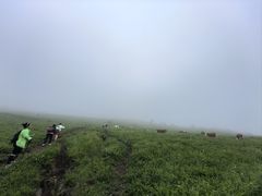 -灵山