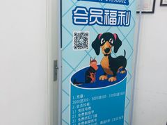 -中农国际动物医院24小时·猫科·骨科·急重症中心