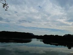 -昆山城市生态森林公园