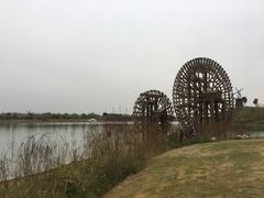 -金卉庄园