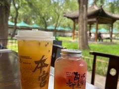 -承德避暑山庄景区