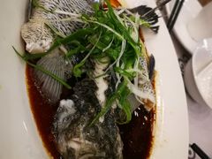 清蒸花斑鱼-岭南海晏楼(东晓南店)