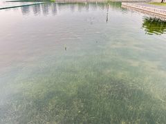 -尚贤河湿地