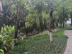 -重庆市江北嘴中央商务区中央公园