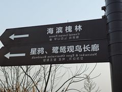 -盐城丹顶鹤湿地生态旅游区
