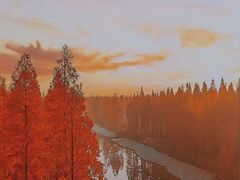 -黄海国家森林公园