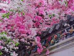 -深圳国际园林花卉博览园