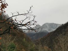 -牛背梁国家森林公园