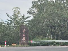 -平湖九龙山旅游度假区