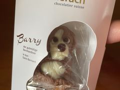 -Laderach 莱德拉(上海环贸iapm店)