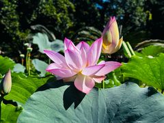 -国家植物园南园