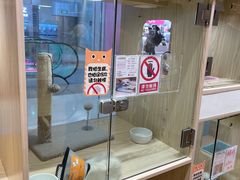 -屋虎猫馆(宝安大仟里店)